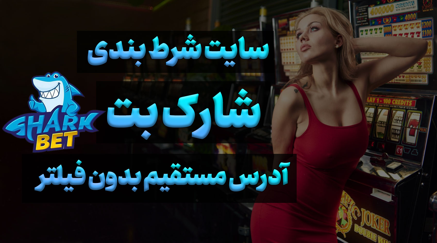 سایت شارک بت Sharkbet رادیو جوان