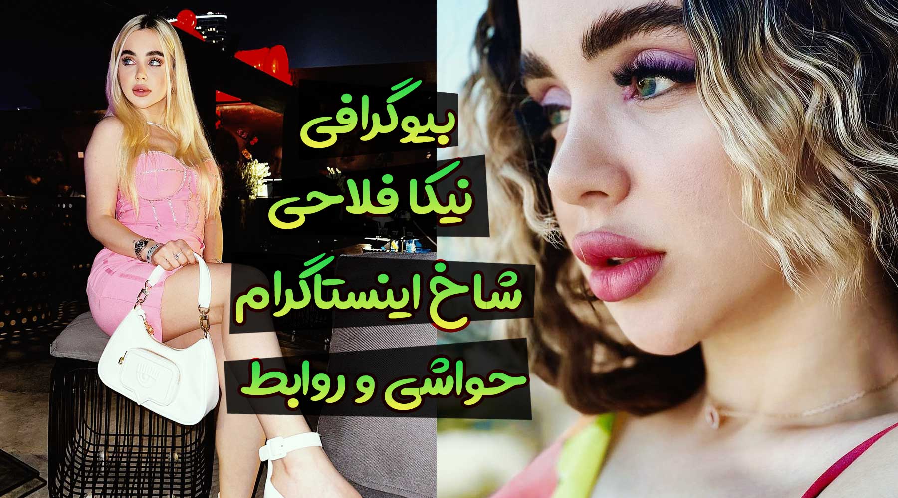 بیوگرافی نیکا فلاحی